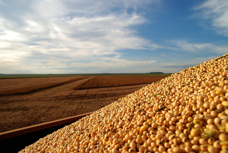新濠天地·(中国区)官方网站