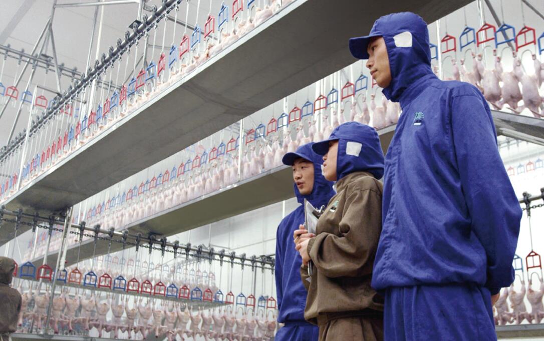 新濠天地·(中国区)官方网站