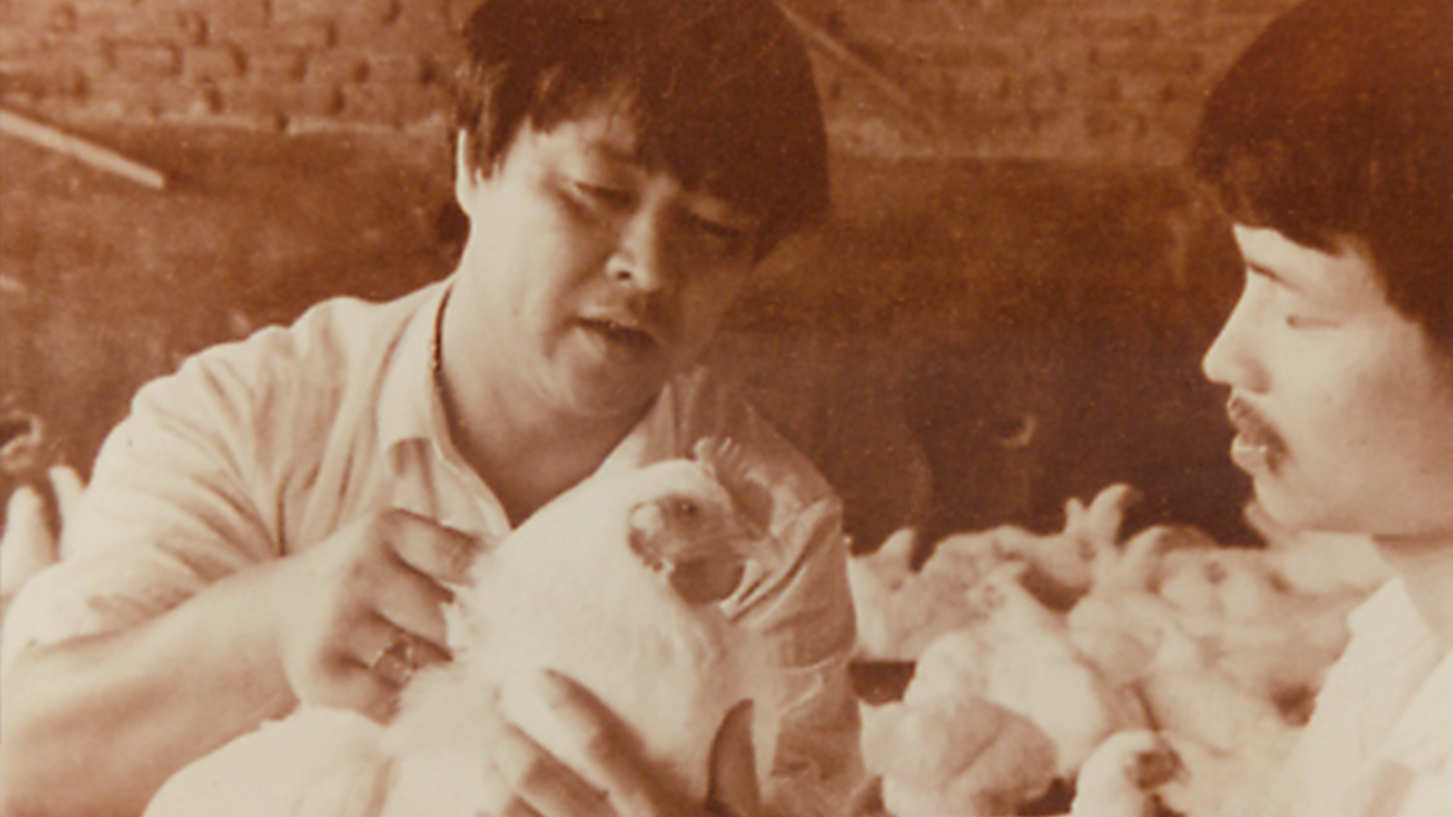 新濠天地·(中国区)官方网站