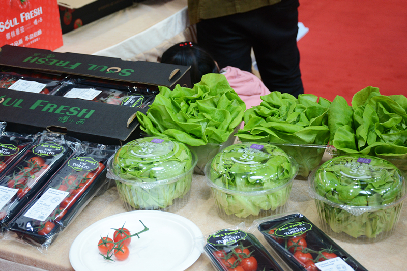 新濠天地·(中国区)官方网站