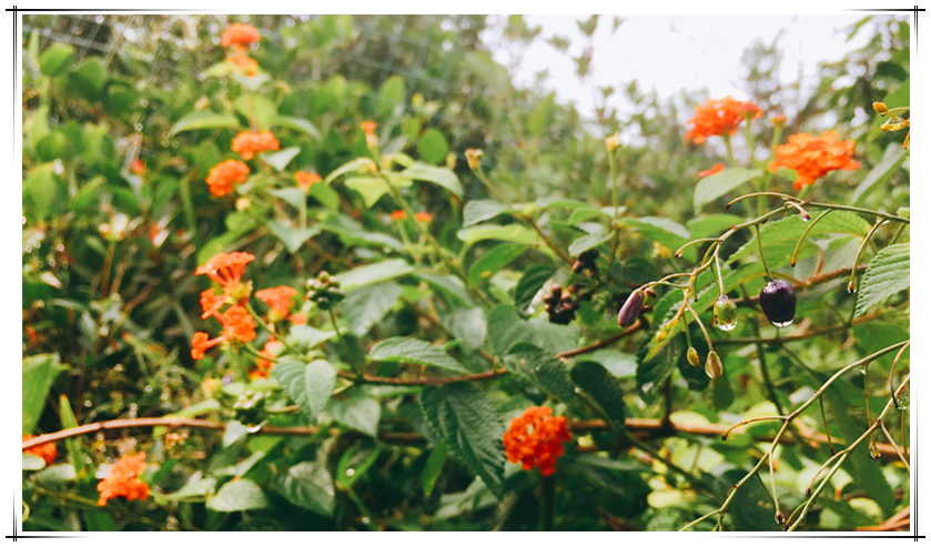 新濠天地·(中国区)官方网站
