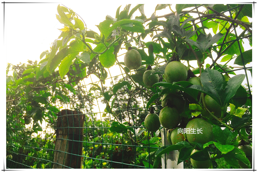 新濠天地·(中国区)官方网站