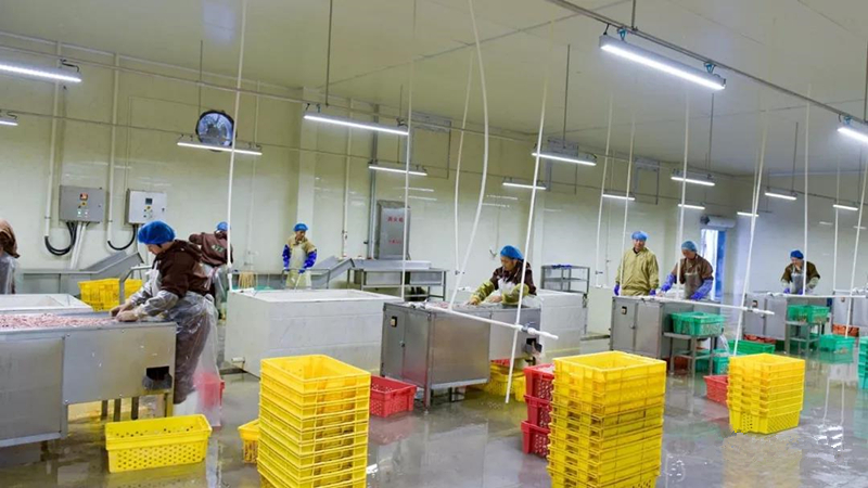 新濠天地·(中国区)官方网站