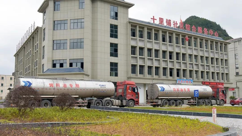 新濠天地·(中国区)官方网站