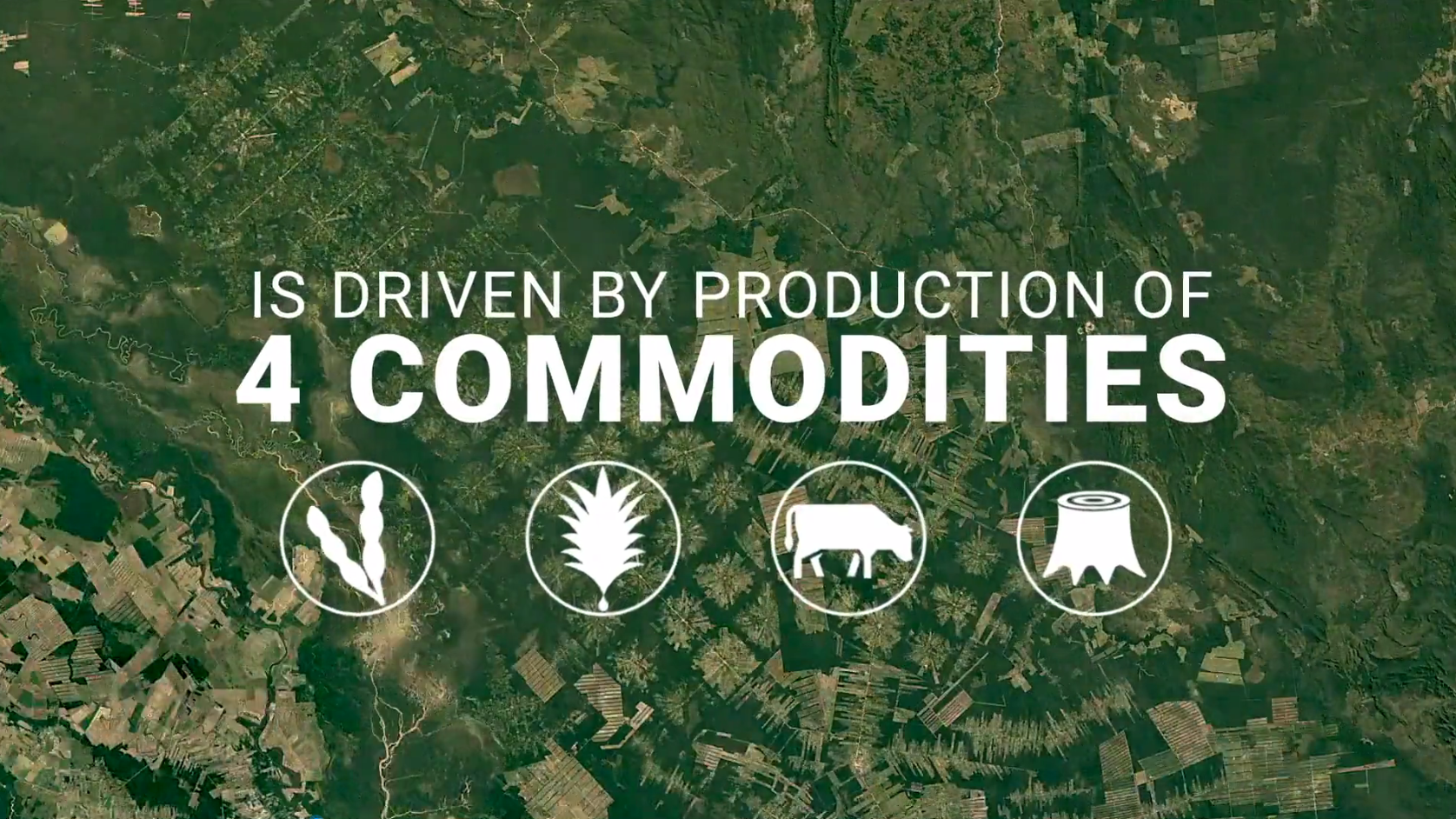 新濠天地·(中国区)官方网站