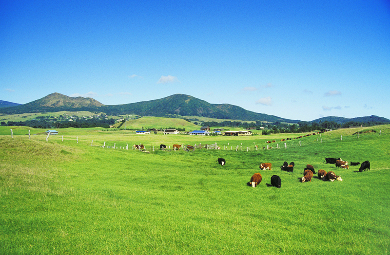 新濠天地·(中国区)官方网站
