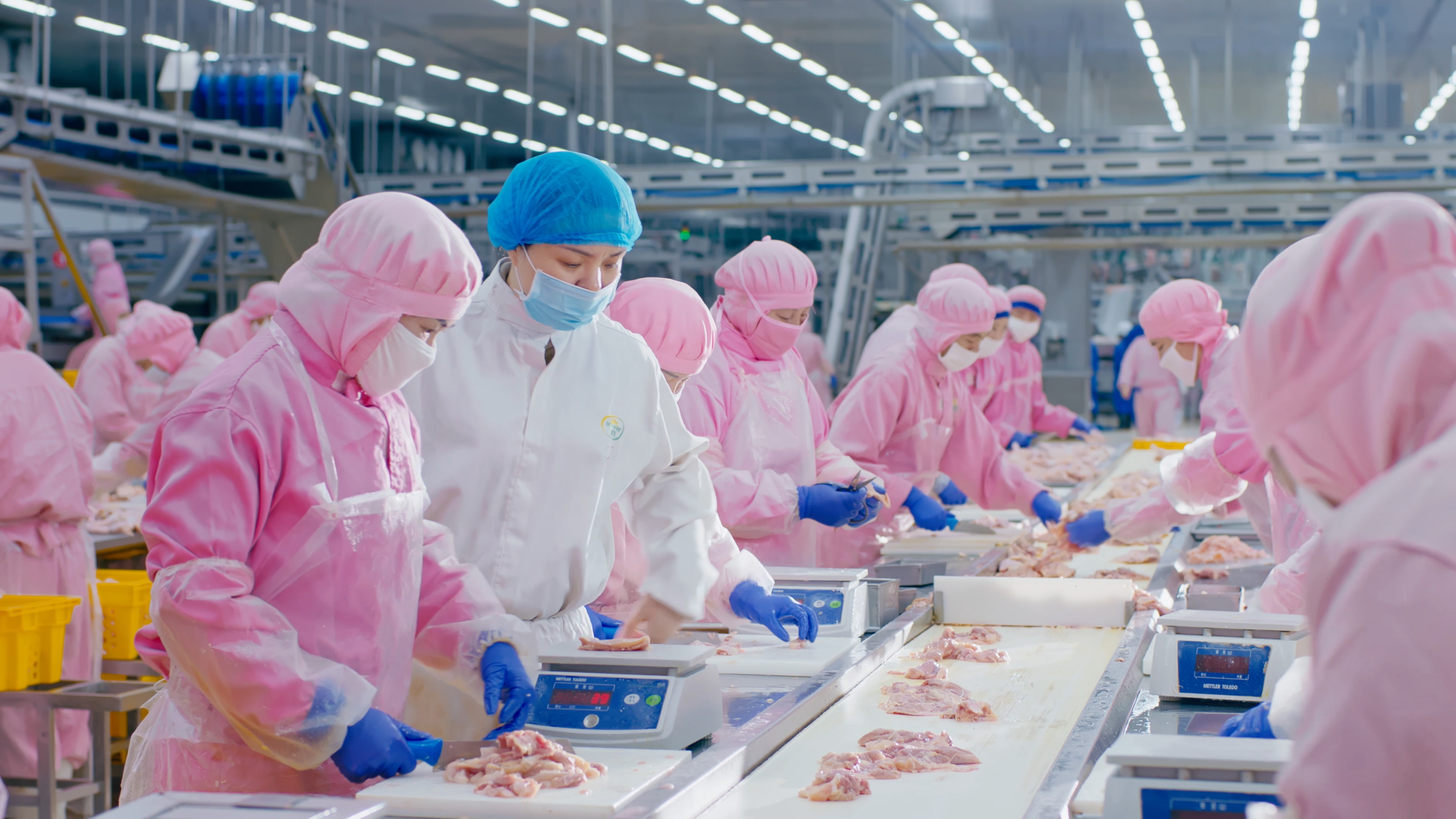 以人为本，，，，，携手员工配合生长